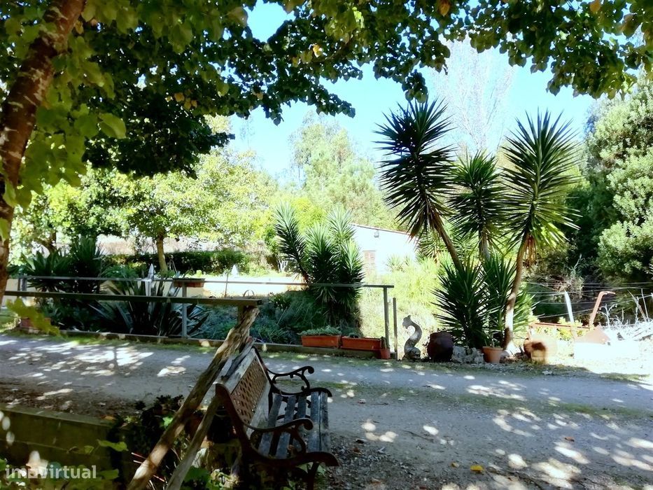 Herdade de 15 ha - Figueira da Foz!