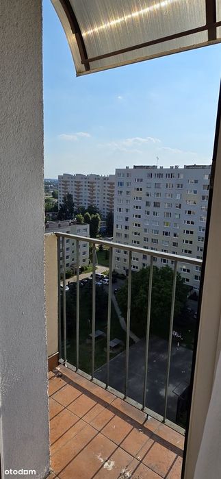 Widokowe 2 pokoje + kuchnia 42,98m² na Karolewie – Od osoby prywatnej - Widok 5