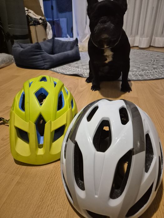 Kask rowerowy limonowy IQ rozm. L