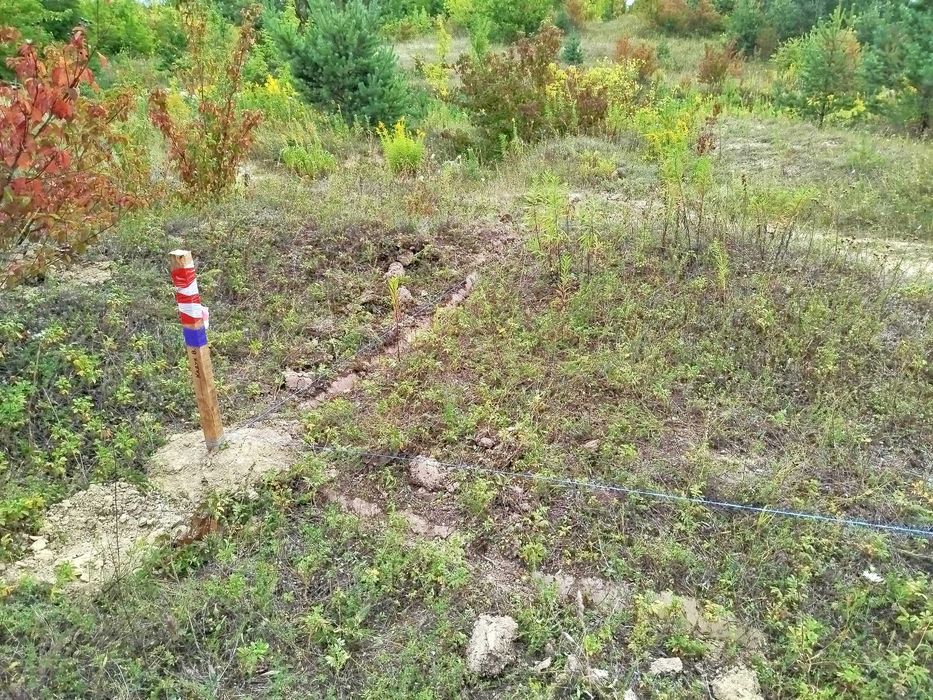 Земельна ділянка