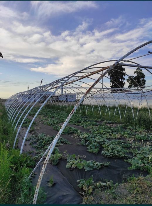 Sprzedam tunel foliowy