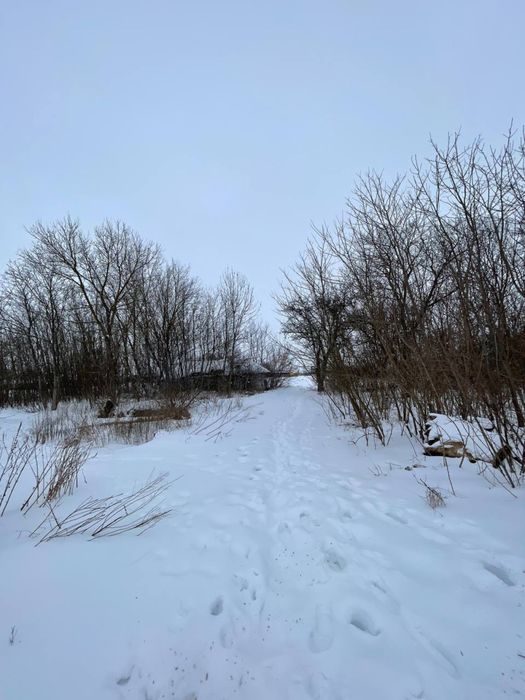 Продам земельну ділянку 80 соток біля Хмільника