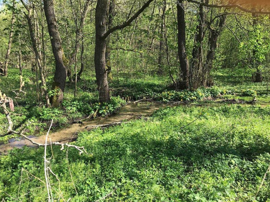 Продам земельну ділянку у Середкевичах під форелеве господарство .