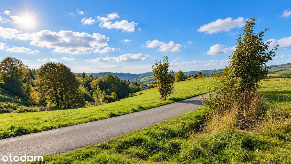 Działka rolna z widokiem na Beskid Sądecki-działki sąsiednie budowlane - Widok 3