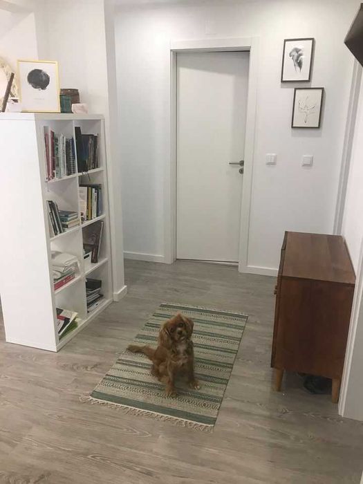 Arrendamento de apartamento