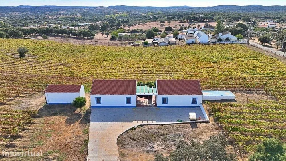 Adega com certificado de Vinho de Denominação de Origem Controlada - A