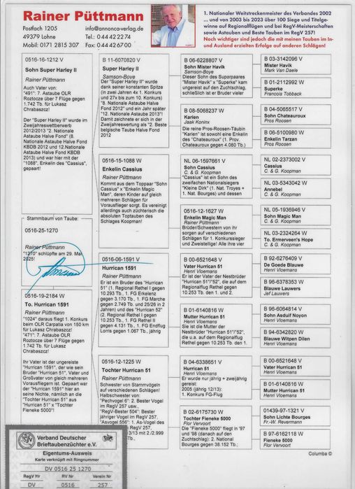Młode para 49 Oryg. H. Vlomans z Pelna siostra 7 AS  WG Roztocze gołąb