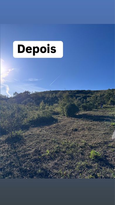 Limpeza de terrenos / corta mato