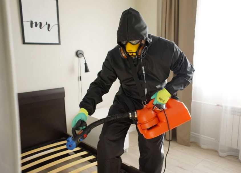 Знищення тарганів, дезінсекція дезінфекція з гарантією результата