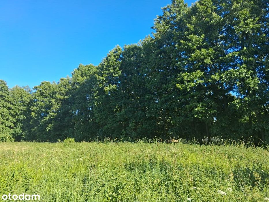 Działka Z Warunkami Zabudowy Pod Nowym Tomyślem --> Glinno - Widok 2