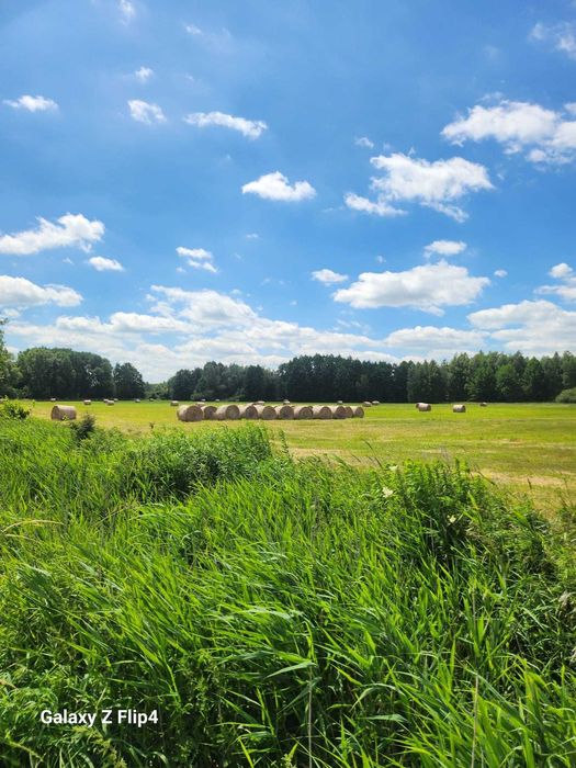 Baloty siana - Sucha Górna, Szklary Dolne