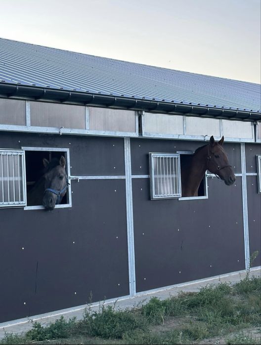 Wynajme stajnie ,boksy ,pensjonat dla koni, ośrodek jezdziecki