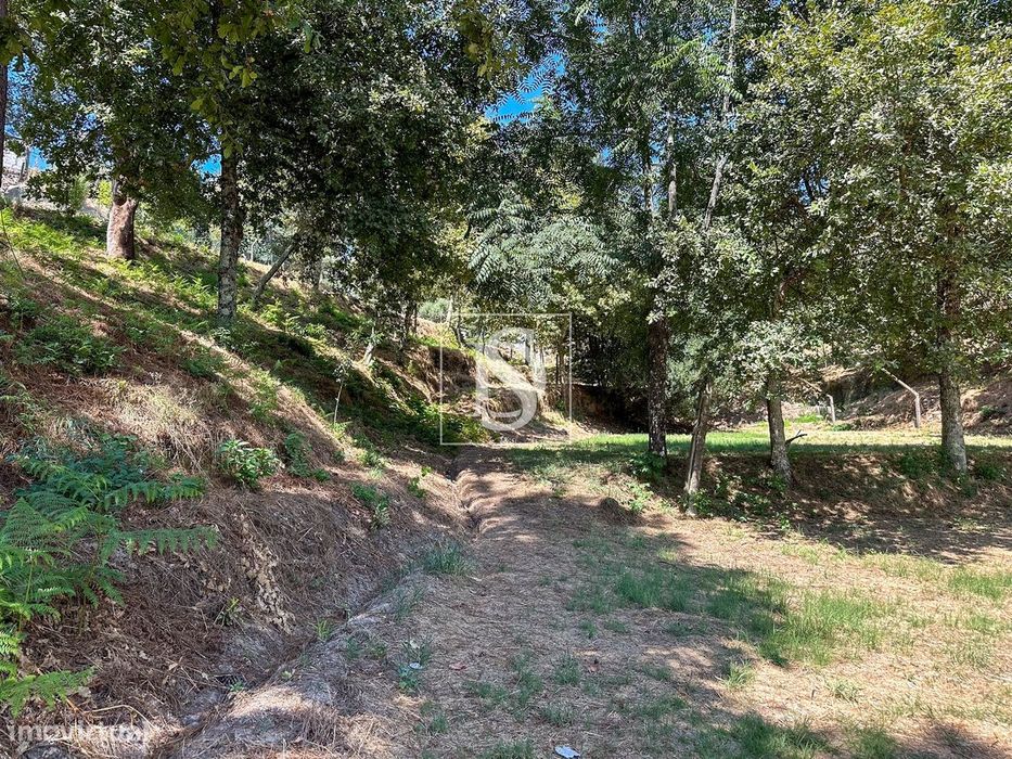 Terreno  Venda em Lufrei,Amarante