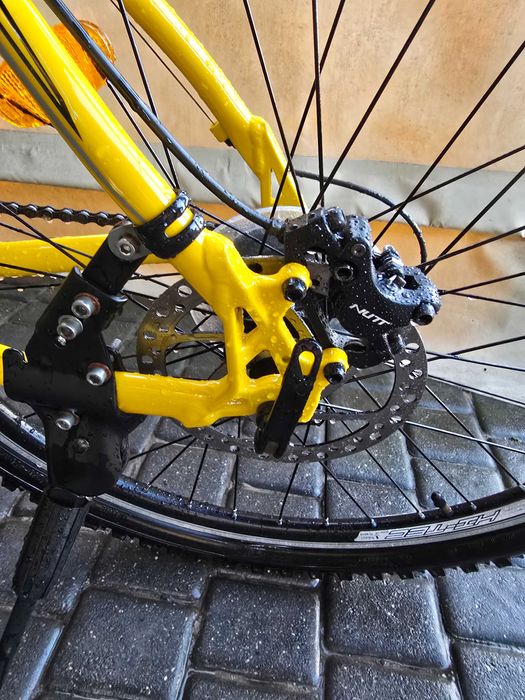 Rower arkus beryl 260