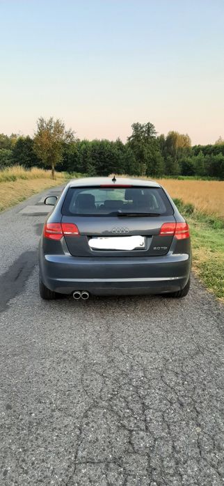 Audi a3 8p 2.0 tdi