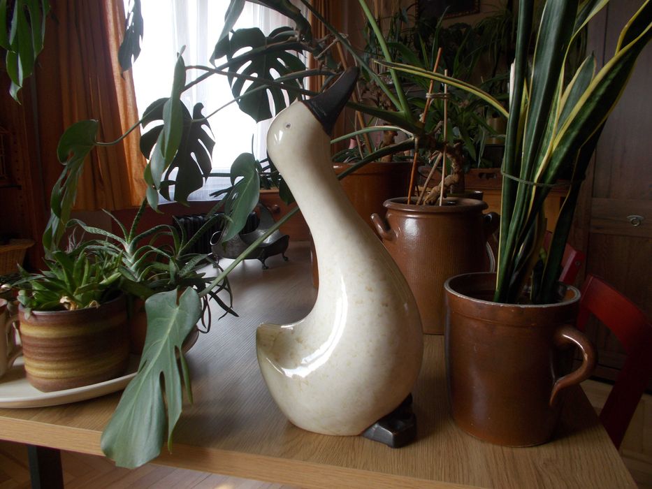 Duża gąska ceramiczna - dom i ogród
