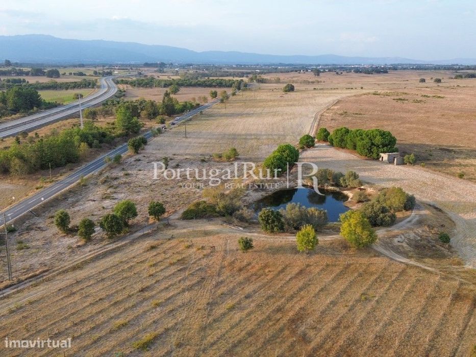 Quinta com 15 hectares em Castelo Branco