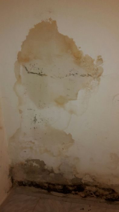 Profissionais de jardinagem