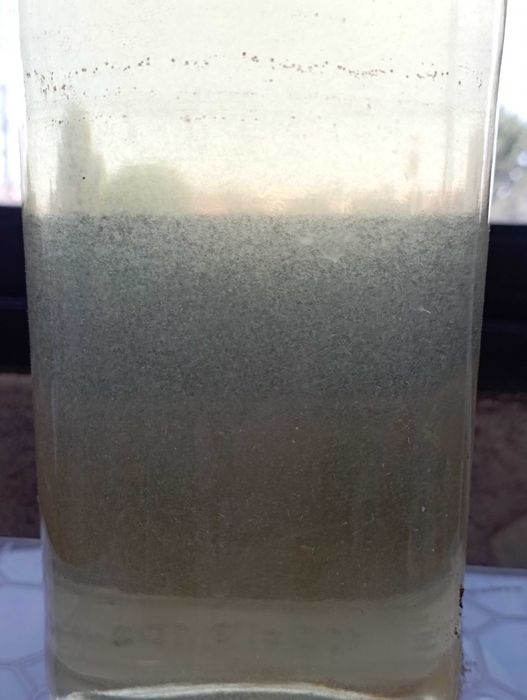 Alimento vivo - Enguias do vinagre