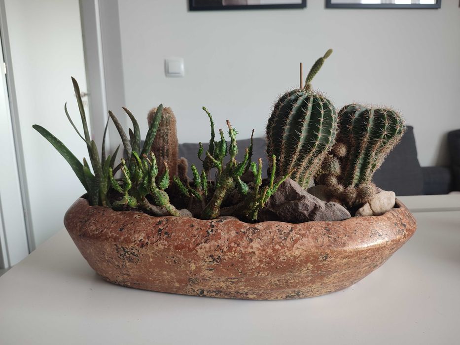 Włoska kaktusiarka / naczynie do bonsai