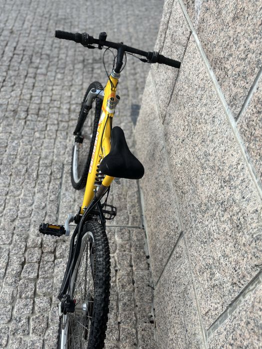 Bicleta para lazer