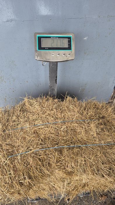 Сіно лугове в тюках. Укіс 2025