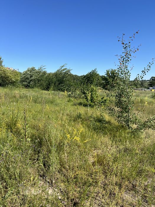 С. Левків продам земельну ділянку під будівництво