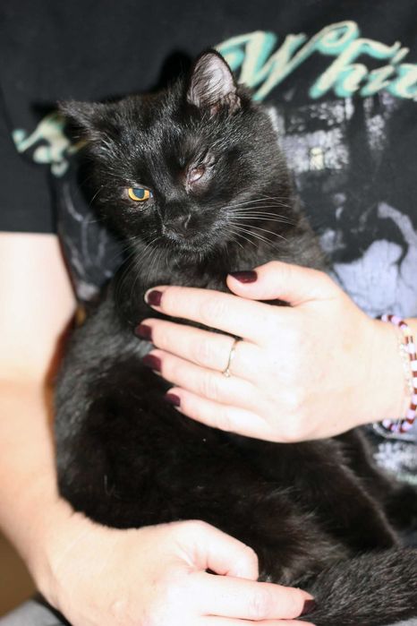 Milka szuka wspólnego domu z Milką! Fundacja "Stawiamy na Łapy"