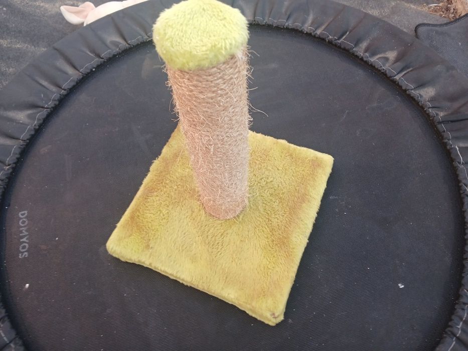 Arranhador para gatos, muito pouco utilizado.