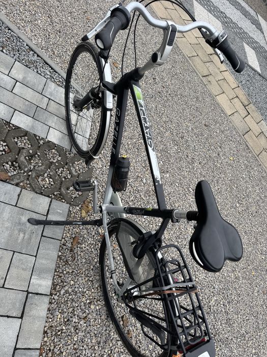 Rower męski gazelle