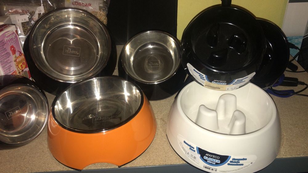 Coleira e tigela para cachorro