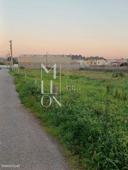Terreno para Construção – 5.000 m2 | Frente de 100 m | Praia da Madale