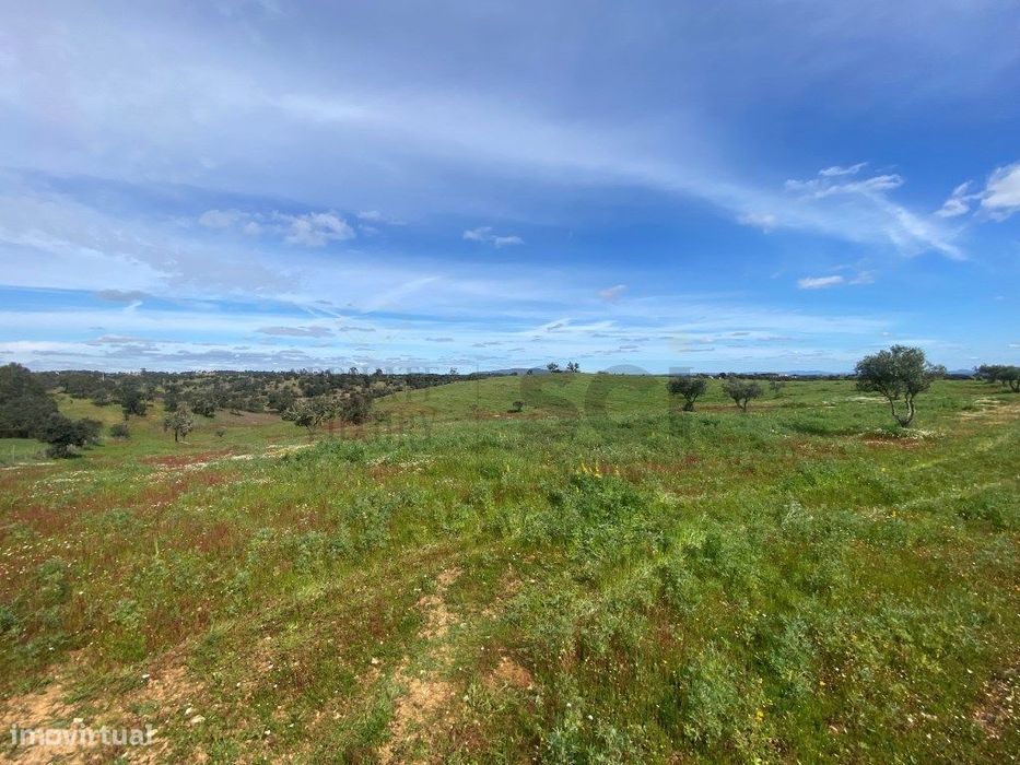 Terreno Rustico com Olival em Vila Nova de São Bento - Serpa