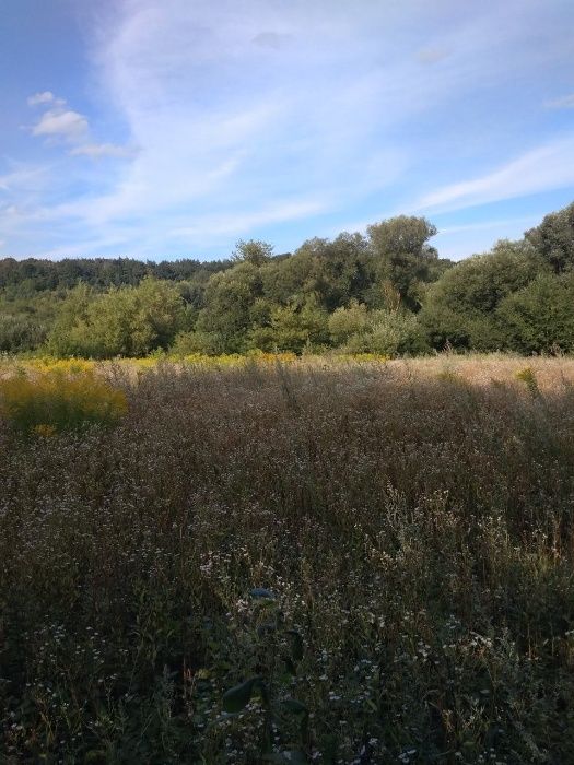 Ділянка Пашковецька сільська рада
