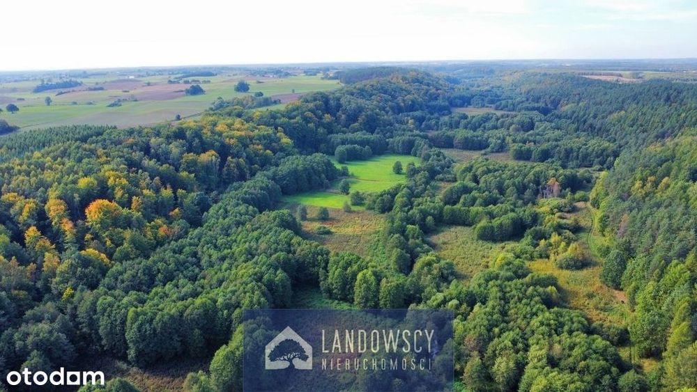 Ponad 15 hektarów naturalnych łąk czeka na właściciela.
