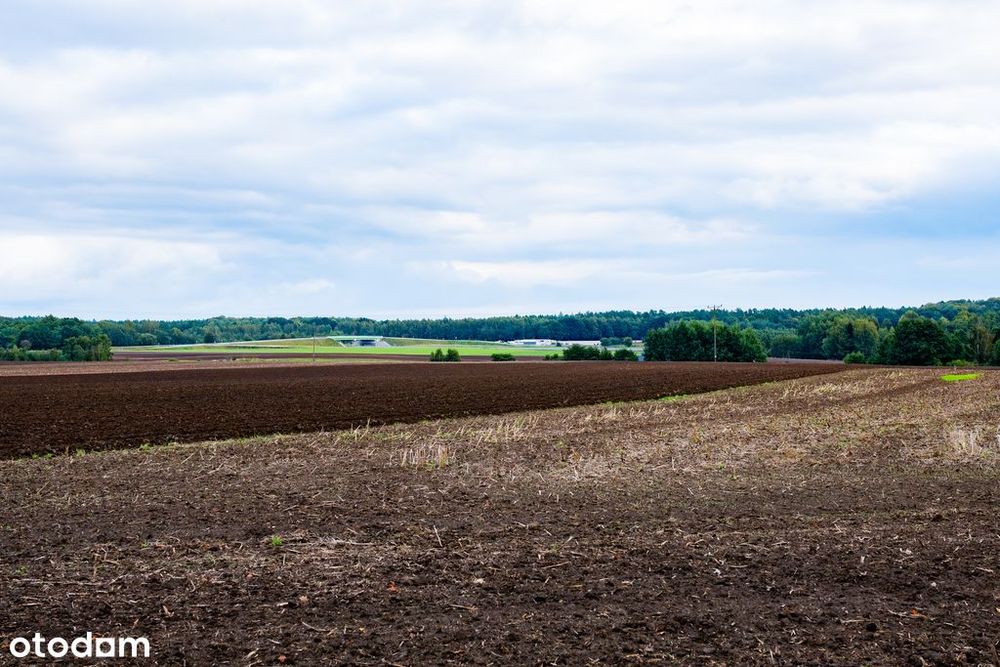 Działka z potencjałem – Sławno | Bobrowiczki