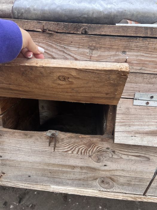 Клітки для кролів