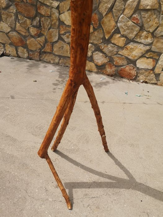 Avestruz Decorativa