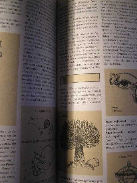 dicionario de zoologia ilustrado e outros livros