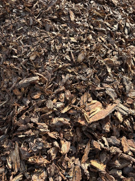 Kora sosnowa z transportem