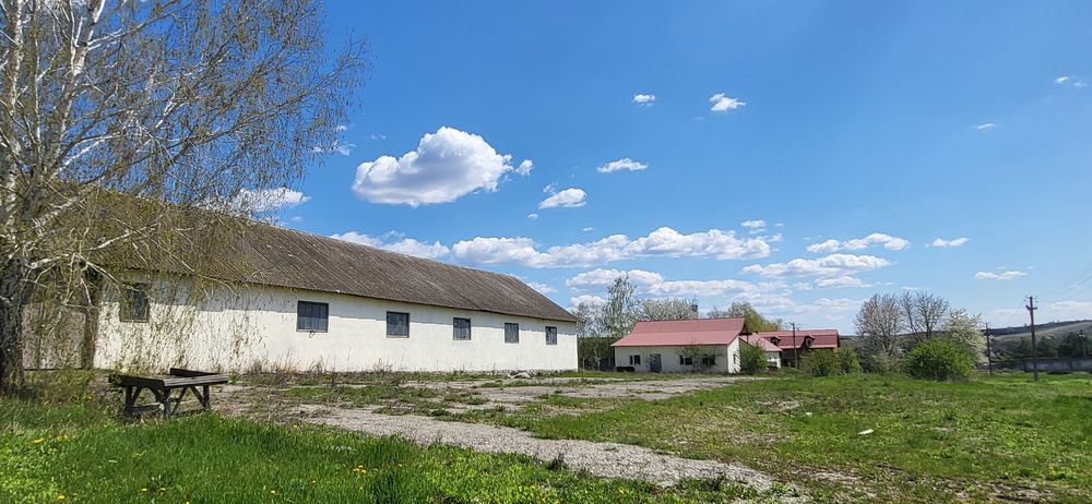 Бізнес/Господарство