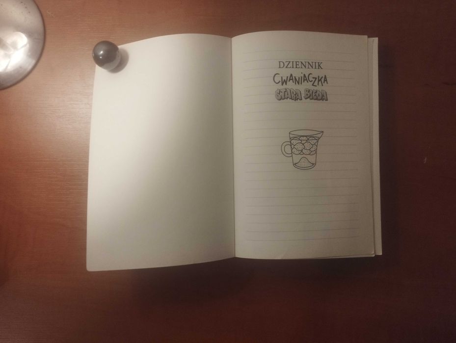 Książka Dziennik cwaniaczka Stara bieda
