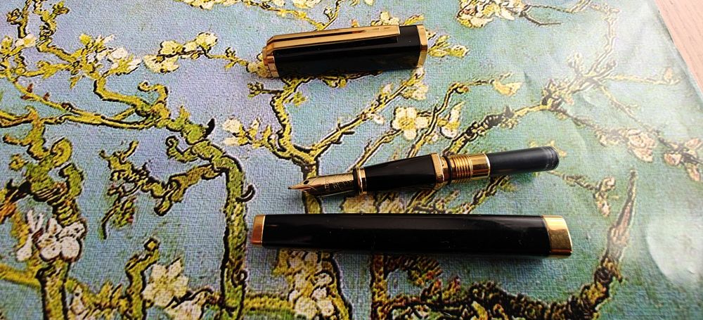 Pióro wieczne Waterman Exception