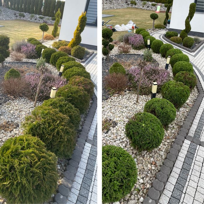 Wycinka i sprzątanie działek, usługi ogrodnicze,koszenie trawy