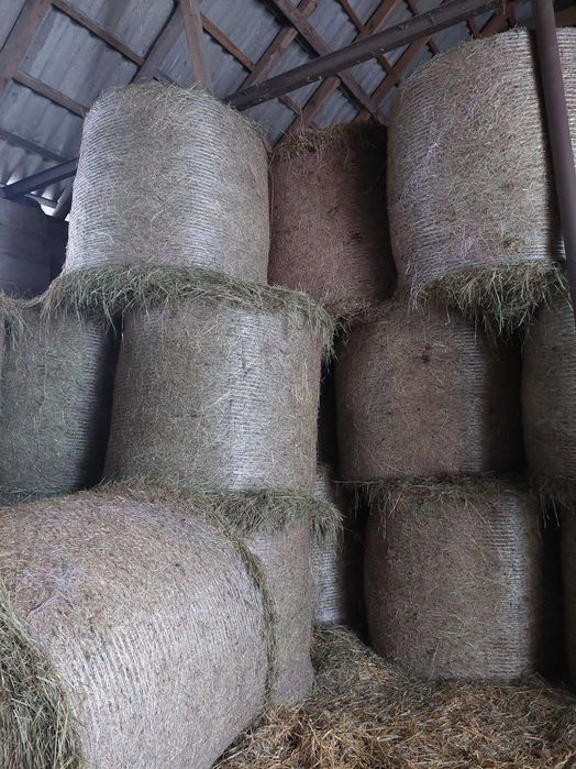 siano słoma sianokiszonka