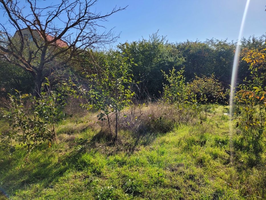 Продам  участок в с. Нерубайское в СТ Глория по хорошейцене!!