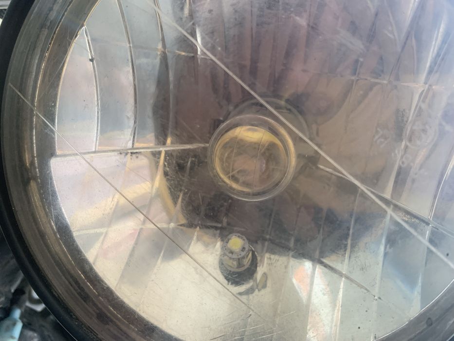 Альфа мустанг 2020