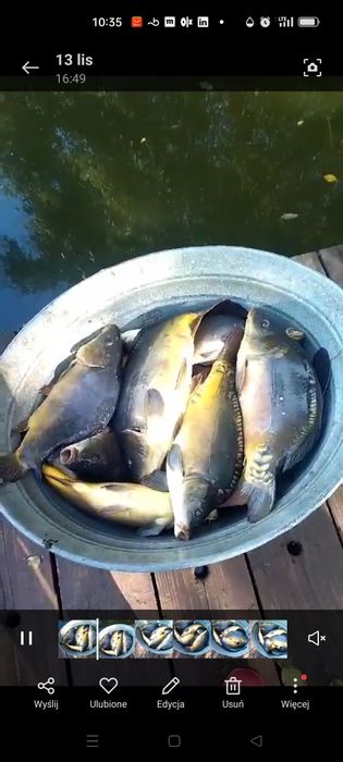 Leśny staw 1! Domek ze SPA! Sauna i balia na wyłączność!