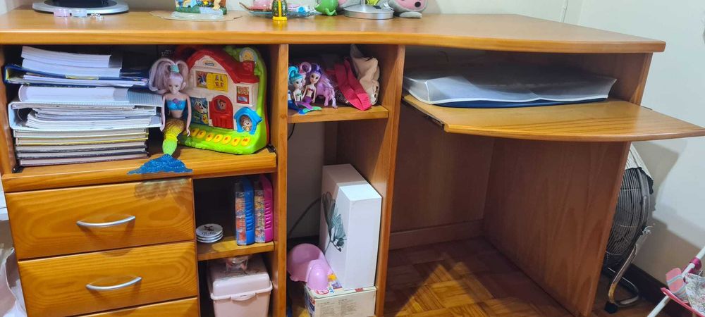 SECRETÁRIA em Pinho para computador
