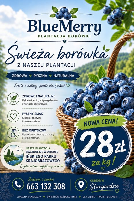 Owoce borówki amerykańskiej
